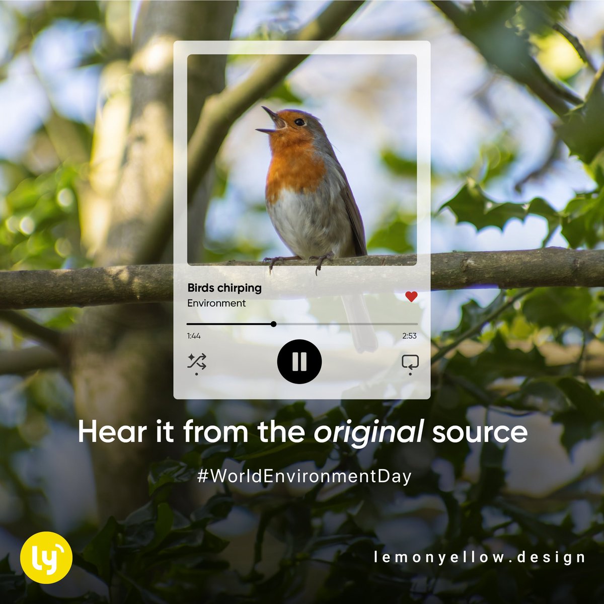 LemonYellowLLP's tweet photo. Today, and everyday, calls us to tune into nature’s playlist. The real one out there, with all the calming sounds our ears need 🎶 https://t.co/HOTTIGUN87