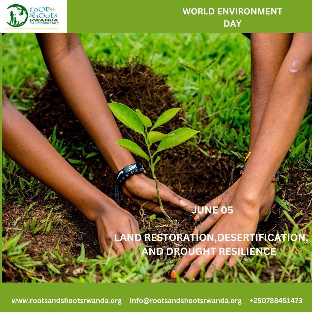Roots&Shoots Rwanda tweet media