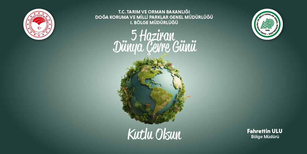 Fahrettin ULU tweet media