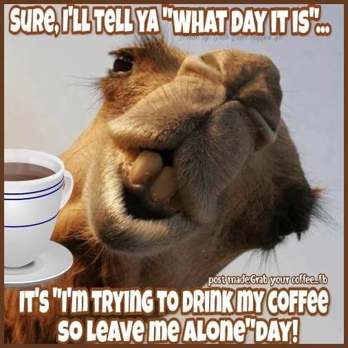 kaffi68's tweet image. Good morning, and hello Wednesday 👋 
I'm going to need a fair amount of this today!
At least it'll take my mind off the lousy weather 😀whatever you have planned, stay dry, and stay safe. Happy Wednesday🤗
#busyday #humpday
#coffee #Wednesday