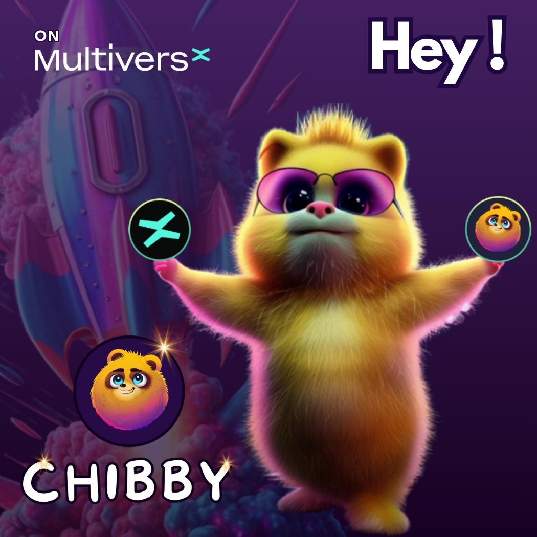 CHIBBY on MultiversX tweet media