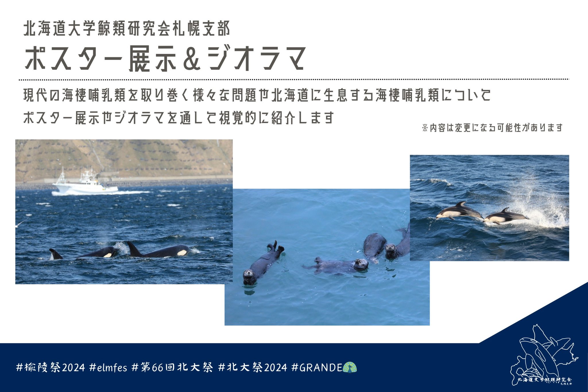 海棲哺乳類大全 海棲哺乳類大全 株式会社 緑書房