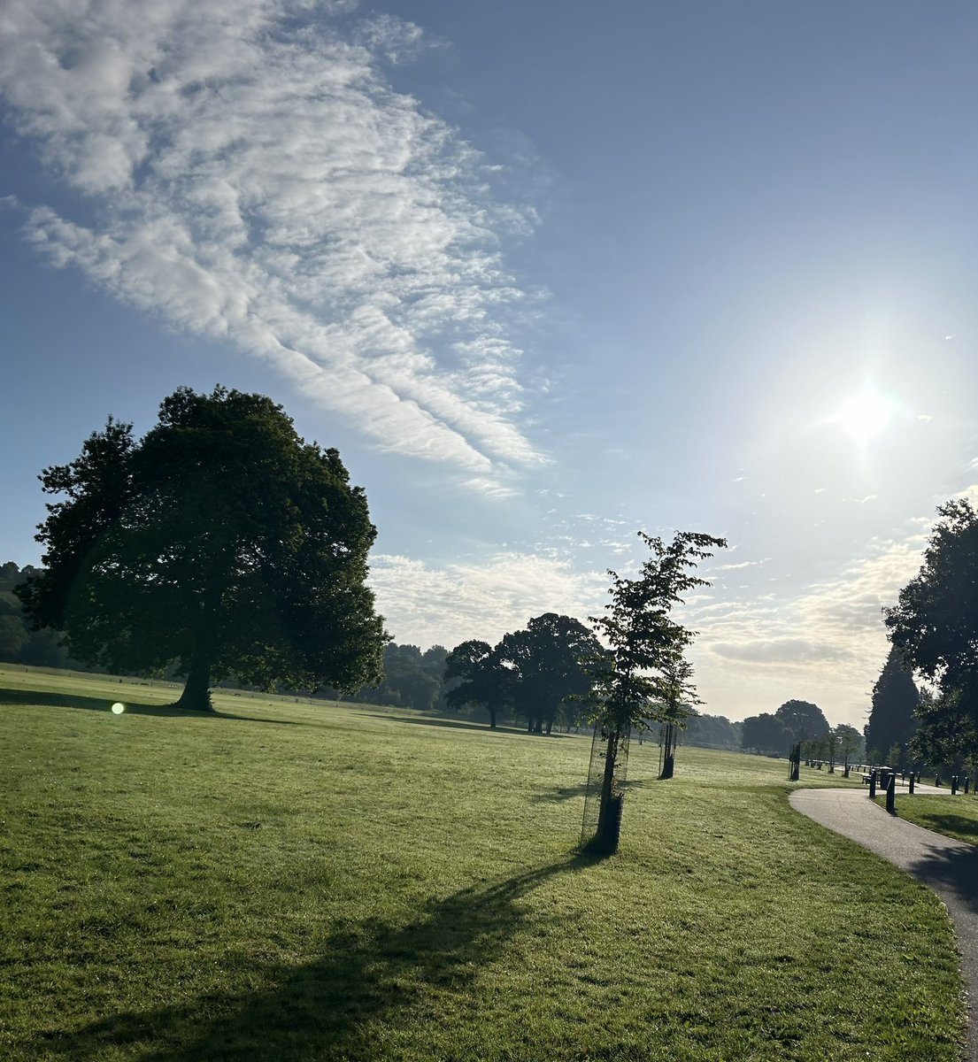 Early morning run to start the day!