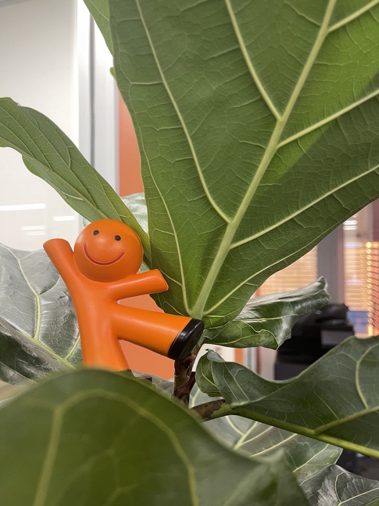 Orange Man is here with a quick tax saving tip for your Year End planning!
💡Review your Stock on Hand
If you operate a business that deals in stock or inventory, then review your stock valuation and write down or write off any stock that is slow moving, damaged or obsolete.