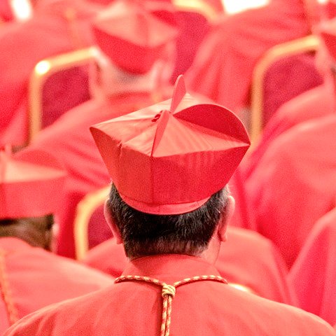 Conclave_Report's tweet image. ¿Por qué es tan importante el Colegio Cardenalicio en los electores? La cuestión no es que uno sólo saldrá elegido Papa, sino que quien vote de plena confianza a los católicos.
Por eso conviene conocerles.