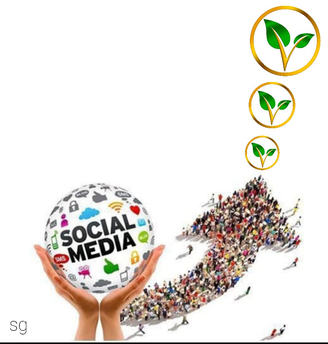 Daniel tweet media