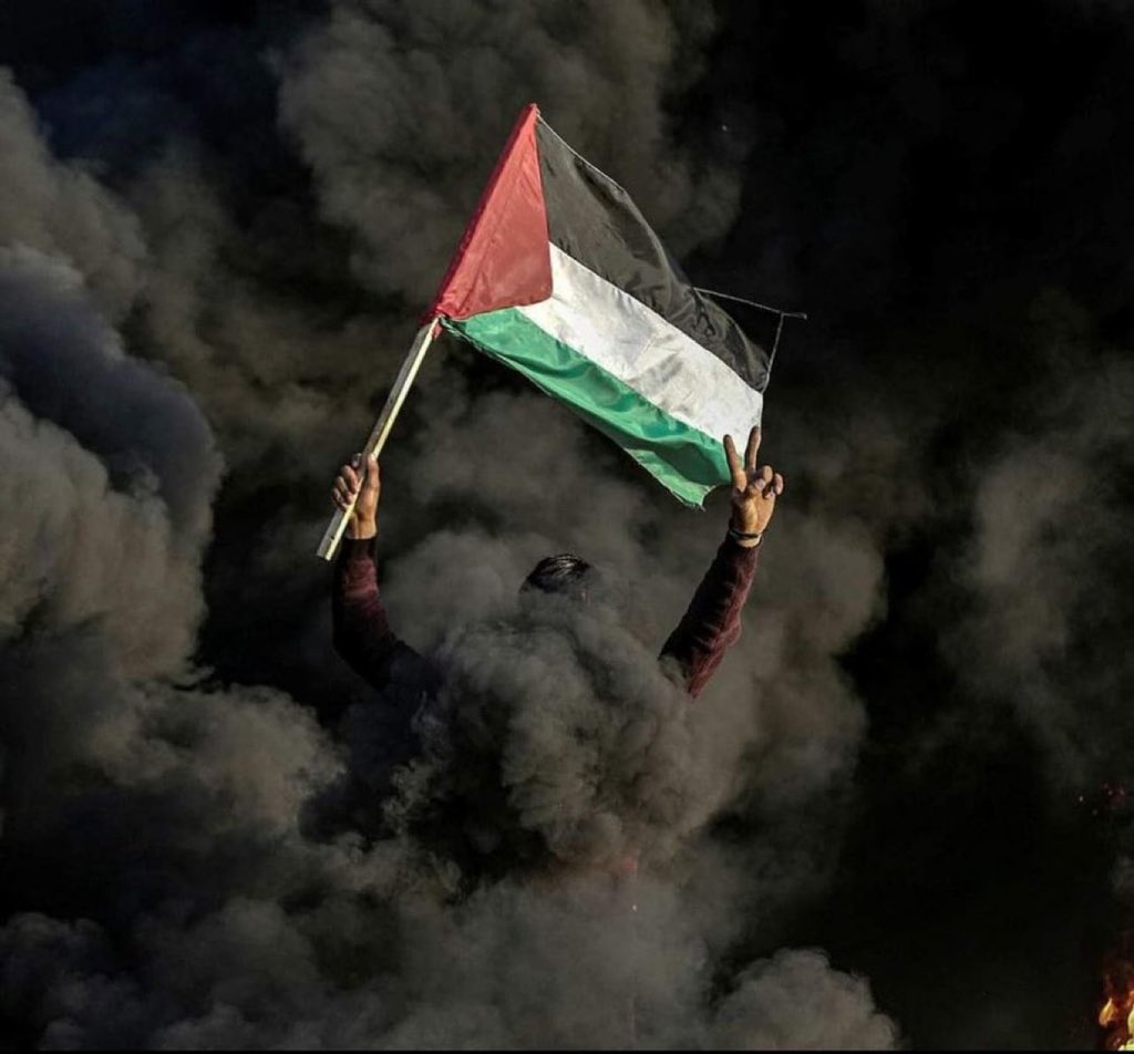 7MohammedKhaled's tweet image. Do you support Palestine?

yes or no