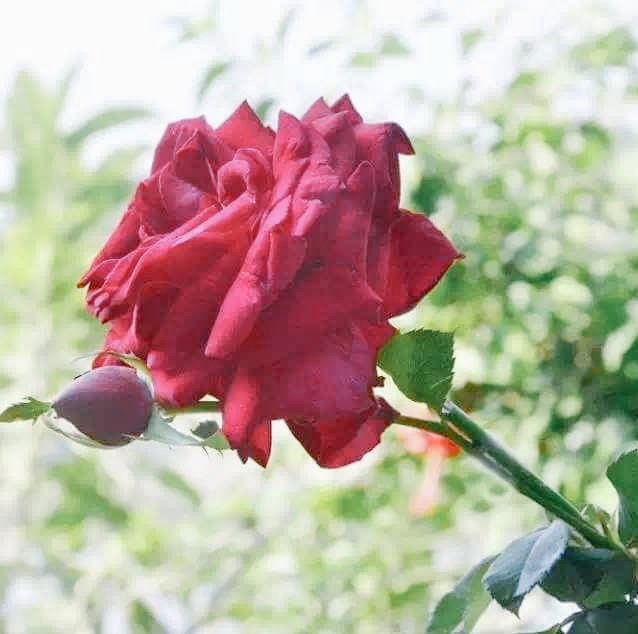 Md RaZa (@md_raza30277) on Twitter photo 