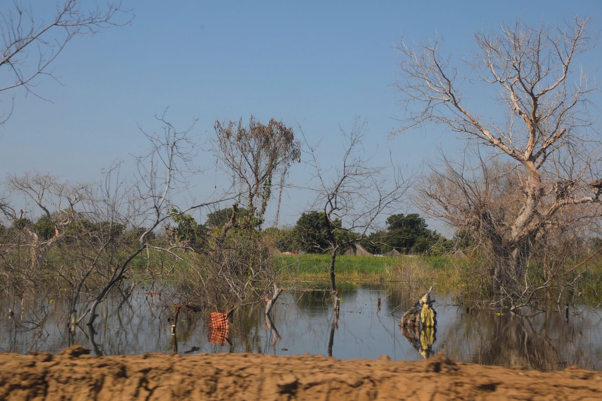 UNFPASouthSudan's tweet photo. Climate shocks continue to exacerbate #SRHR challenges, @unfpa 🇸🇸 continues to evolve & adapt our response to ensure that we #LeaveNoOneBehind because #Everybodycounts
#Musharaka4Tanmiya #WorldEnvironmentDay2024 https://t.co/eeTg9i6FFW