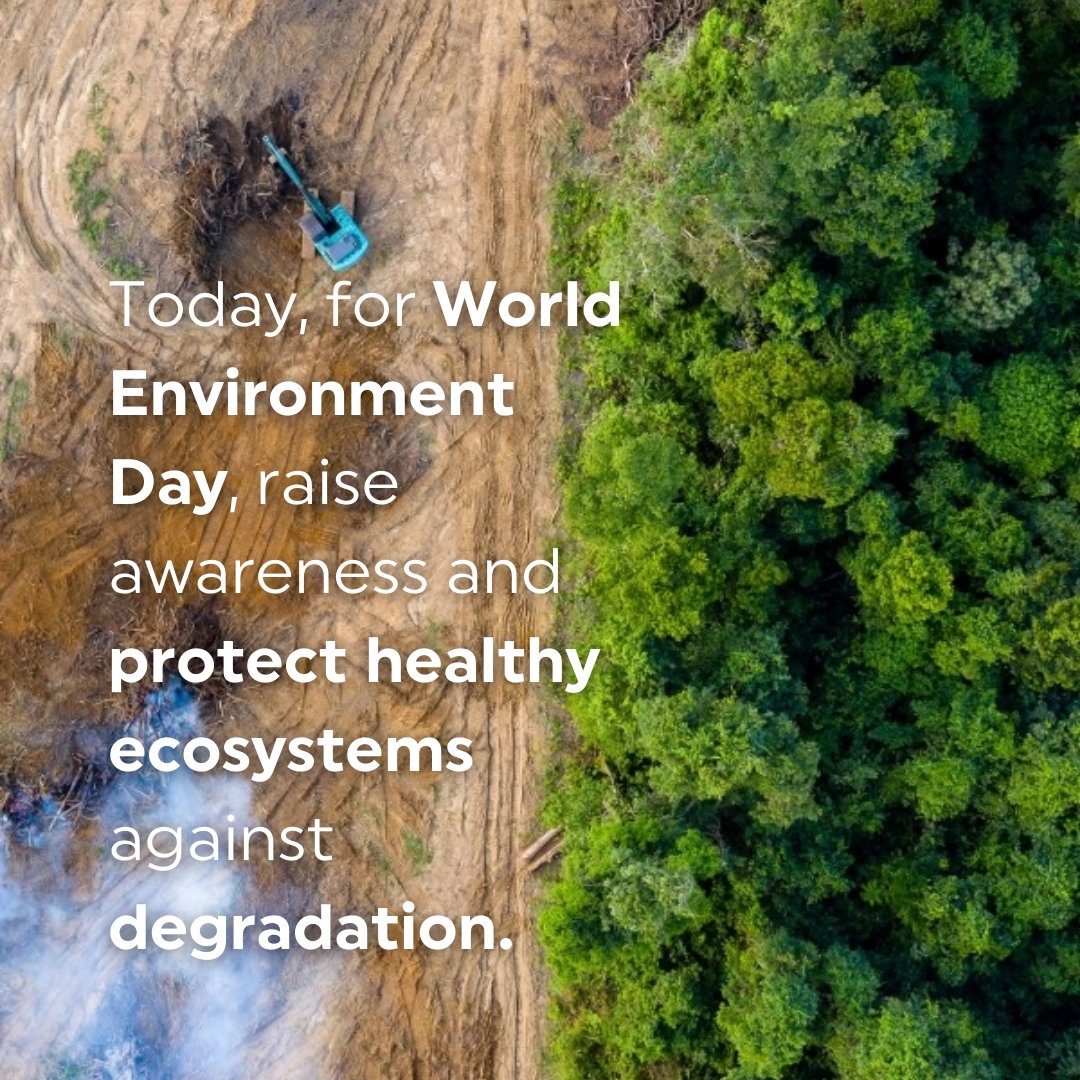 Rainforest Trust UK tweet media