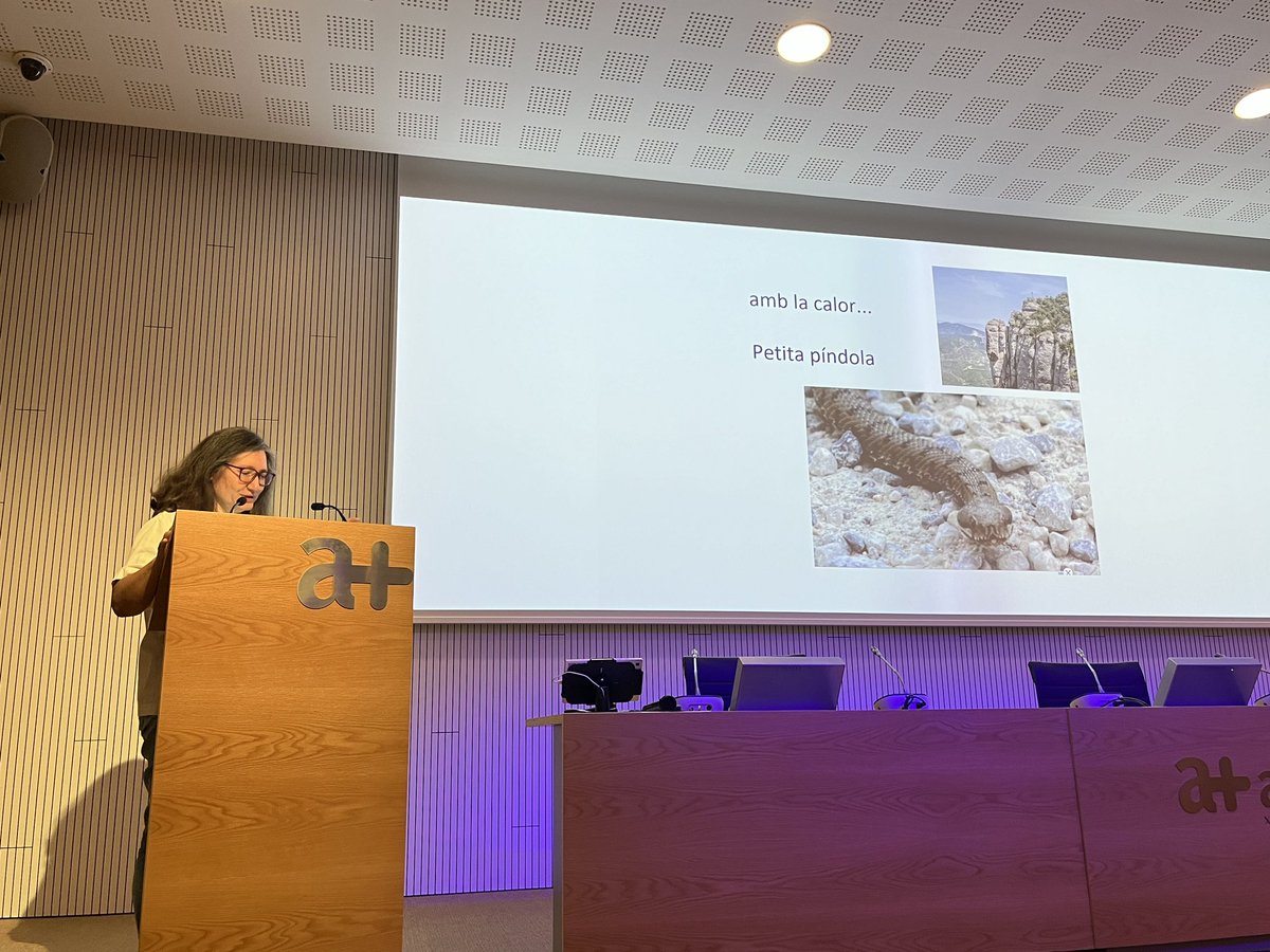 Sonia Mínguez Blasco tweet media