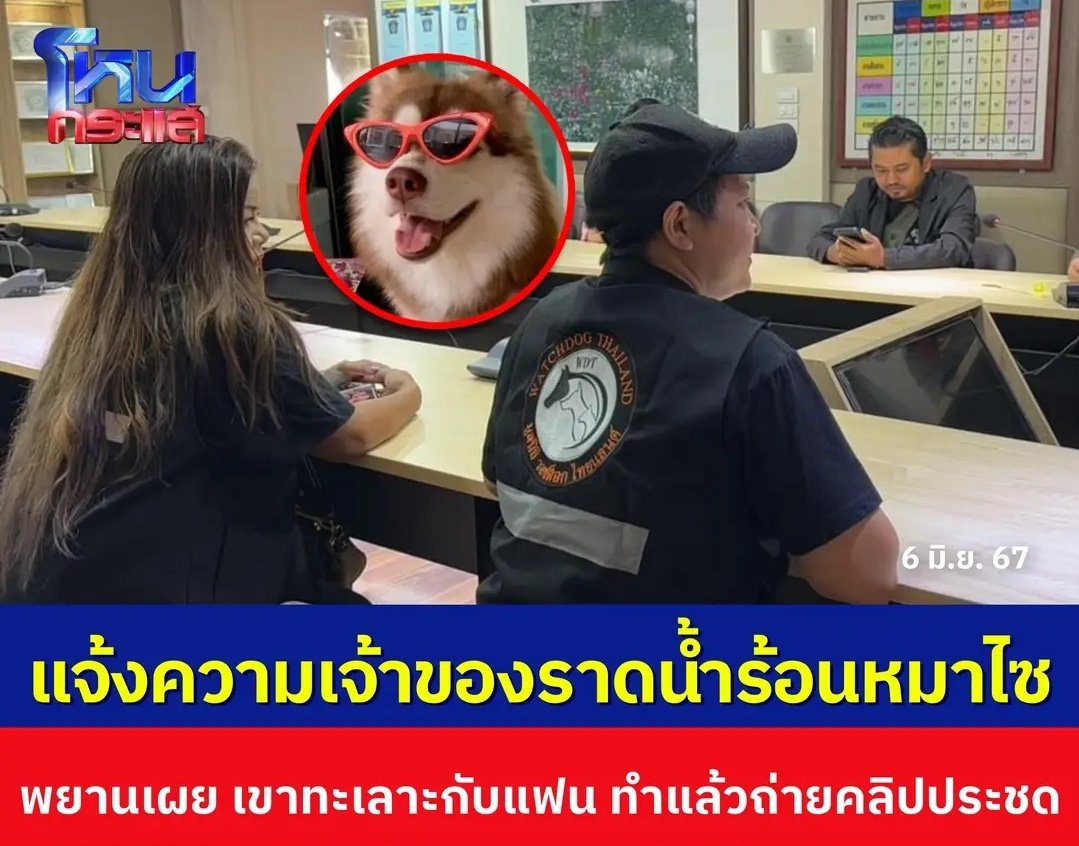 TarotYouuuu's tweet photo. มูลนิธิ Watchdog Thailand  แจ้งความอีเจ้าของราดน้ำร้อนใส่หมาไซแล้วนะครับ สาเหตุคือทะเลาะกับผัว เลยจับหมาราดน้ำร้อนถ่ายคลิปส่งให้ผัวดู ขอให้น้องได้รับความเป็นธรรมด้วยนะครับ!!!!!
#ไซบีเรียน https://t.co/zKTznPvR4b