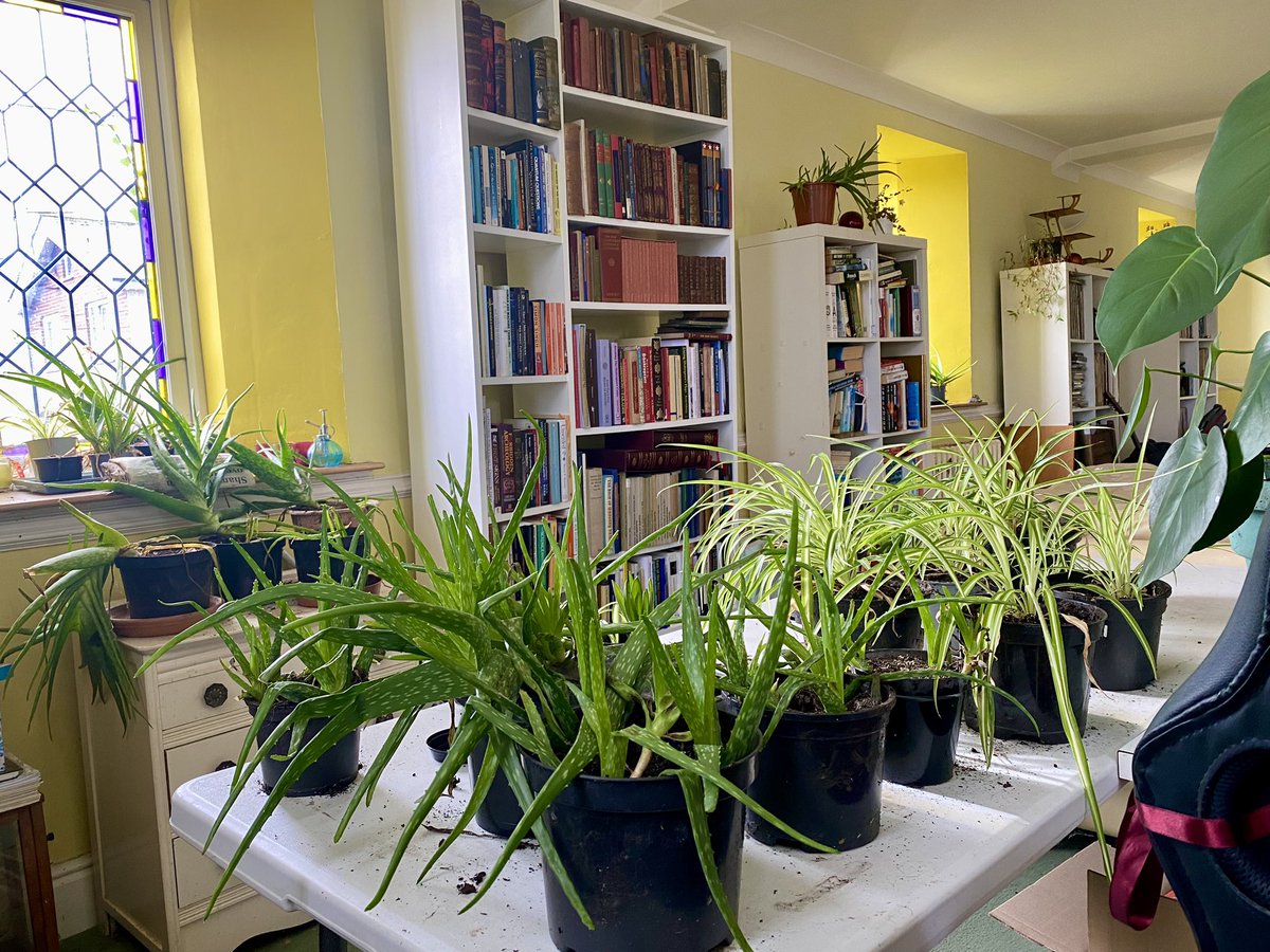 Think of them like houseplants as they come from a similar source; you can never have too many but may occasionally need to dust.