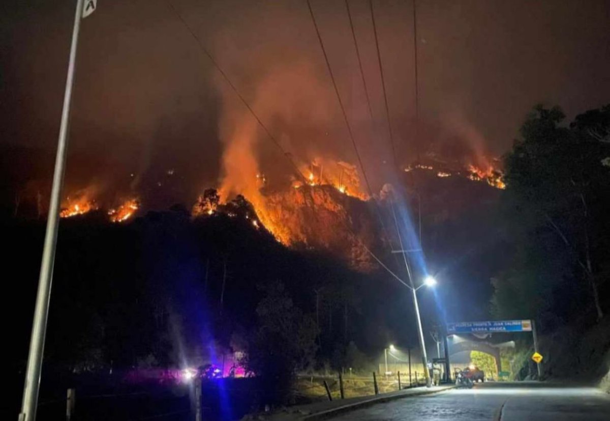 OlimpiaCMujer's tweet photo. Mi pueblito está llamas ⚠️🔥
Han muertos miles de árboles, y decenas de animales.
La falta de conciencia y acción ambiental va a terminar con muchas vidas y esperanzas😓 podríamos evitar una tragedia. Por favor a todos los niveles de Gobierno y a las personas en general:
¡Ayúda! https://t.co/lgn5Eaz9Fv