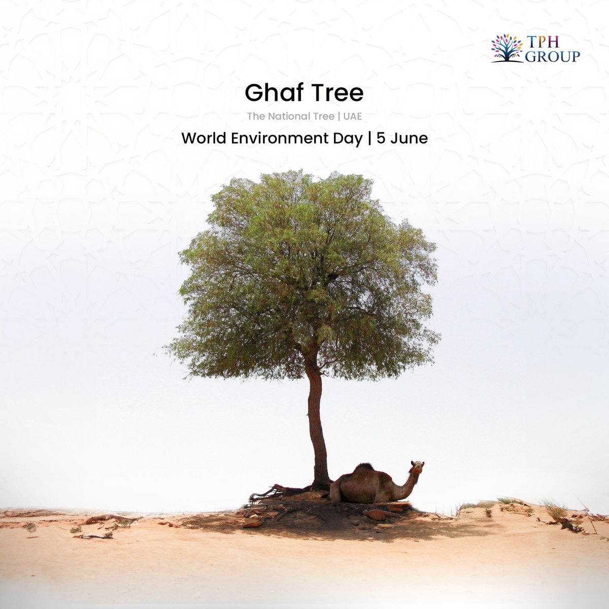 ThePerfectHelp's tweet photo. Happy World Environment Day from TPH Group! 🌳🌍
Today, let’s celebrate the remarkable Ghaf tree, the UAE's symbol of strength and endurance. Each tree is a promise of a greener, more sustainable future for our children.
With every Ghaf tree we plant, we plant hope. 🌱#tphgroup https://t.co/HQH03A4aFK