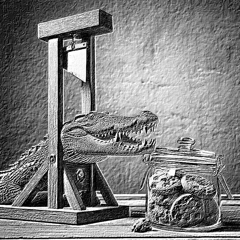 AYAXTELMON's tweet photo. #PisuergasCrocodileDay https://t.co/bNhqvfHwZA