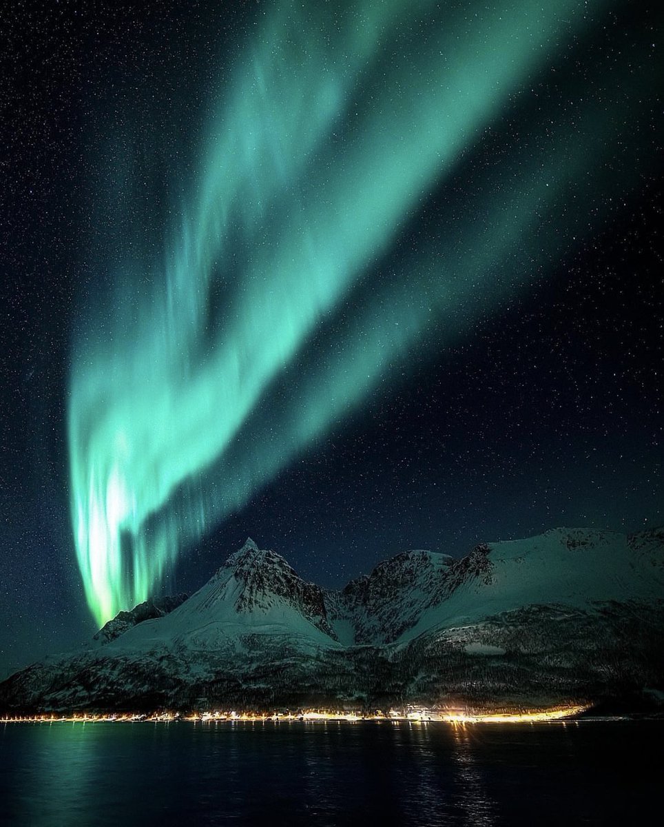 Nirvana Nature tweet media