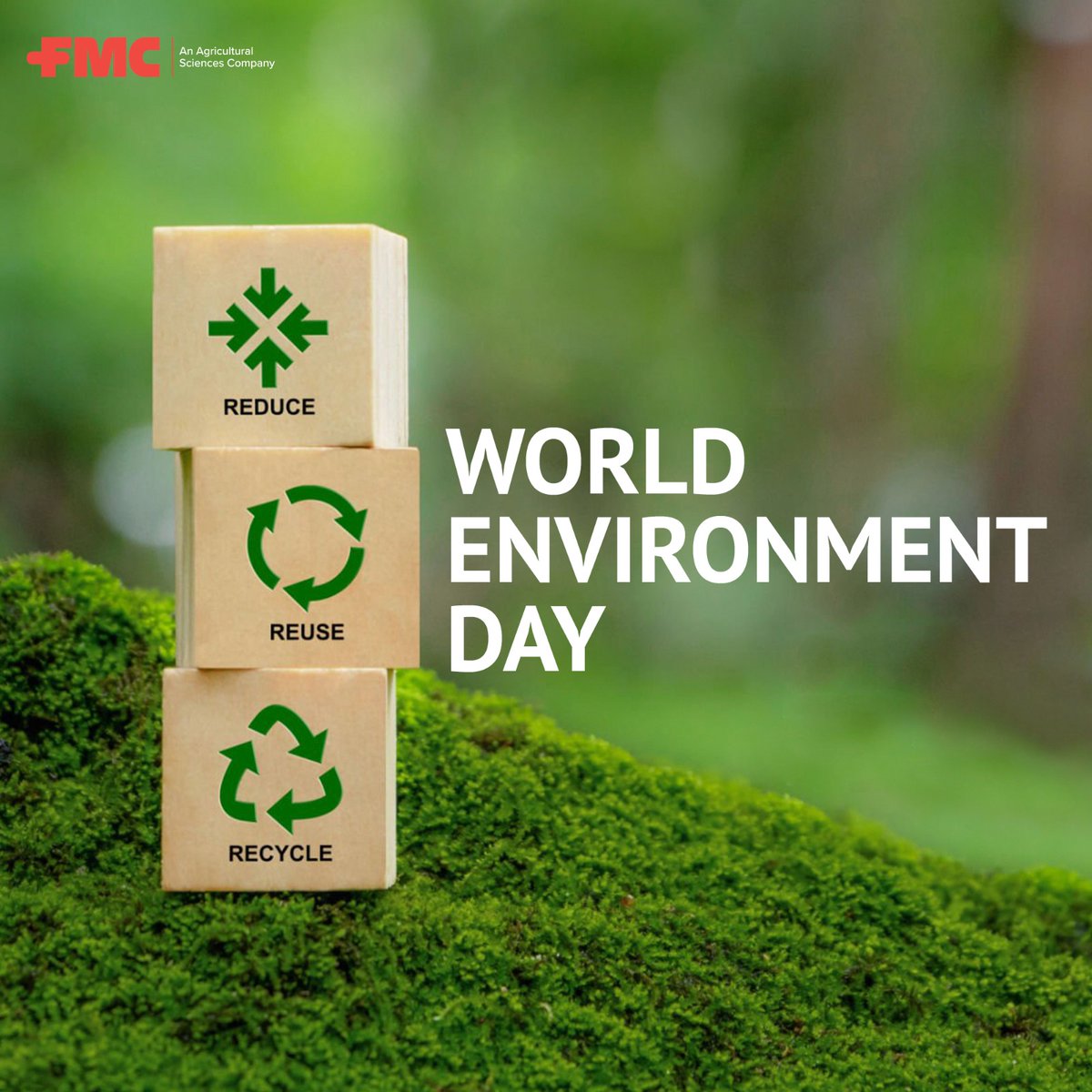 fmc_pakistan's tweet photo. Today, let's celebrate our beautiful planet by taking steps to protect and preserve it, every small action counts, from reducing plastic to planting a tree. 

Together, we can make a big impact! 🌱💧♻️ 

#FMC #WorldEnvironmentDay #Pakistan #EcoFriendly #SustainableFuture https://t.co/dtvFPn2g0V