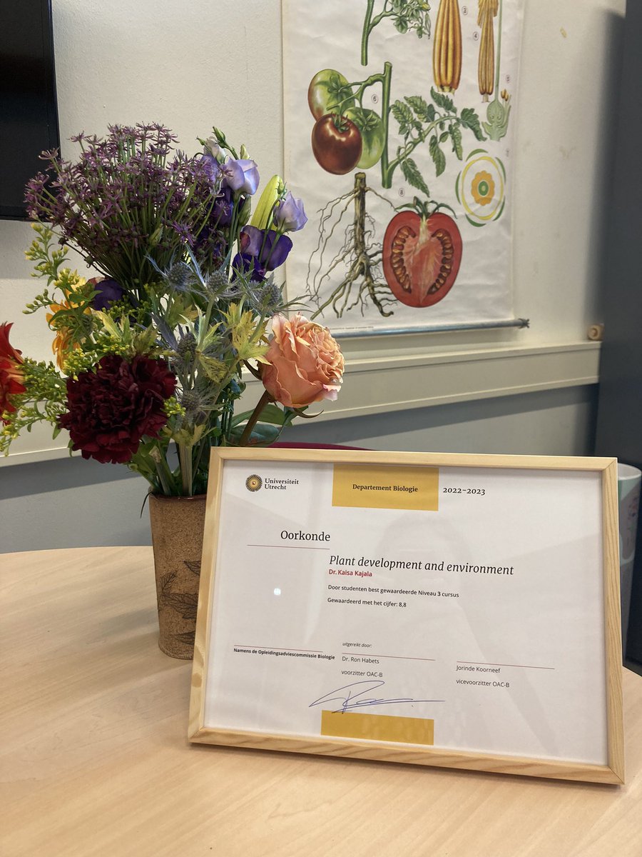 Kaisa Kajala (@kaisakajala) on Twitter photo Our course Plant Development & Environment 🌱 was the highest rated level 3 in BSc Biology <a href="/UUBeta/">Faculty of Science, Utrecht University</a>!
I love the enthusiastic 🤩 students we have and the excellent teaching team 🙏<a href="/DaanWeits/">Daan</a> <a href="/leonardojo/">Leonardo Jo</a> <a href="/AndruRomanowski/">Andrés Romanowski 🕗🌱〰🇦🇷🇳🇱</a> <a href="/dorota_kawa/">Dorota Kawa</a> <a href="/R_Sasidharan/">Rashmi Sasidharan</a> <a href="/VoloboevaVi/">Viktoriia Voloboeva</a> Our course Plant Development & Environment 🌱 was the highest rated level 3 in BSc Biology <a href="/UUBeta/">Faculty of Science, Utrecht University</a>!
I love the enthusiastic 🤩 students we have and the excellent teaching team 🙏<a href="/DaanWeits/">Daan</a> <a href="/leonardojo/">Leonardo Jo</a> <a href="/AndruRomanowski/">Andrés Romanowski 🕗🌱〰🇦🇷🇳🇱</a> <a href="/dorota_kawa/">Dorota Kawa</a> <a href="/R_Sasidharan/">Rashmi Sasidharan</a> <a href="/VoloboevaVi/">Viktoriia Voloboeva</a>