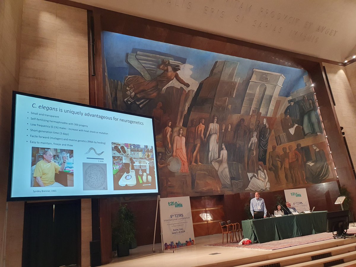 An exciting start for the 2024 T21RS conference at the Sapienza University in Roma with a workshop on preclinical models to study DS <a href="/GO_DS21/">GO-DS21</a> <a href="/t21rs/">Trisomy 21 Research Society</a>