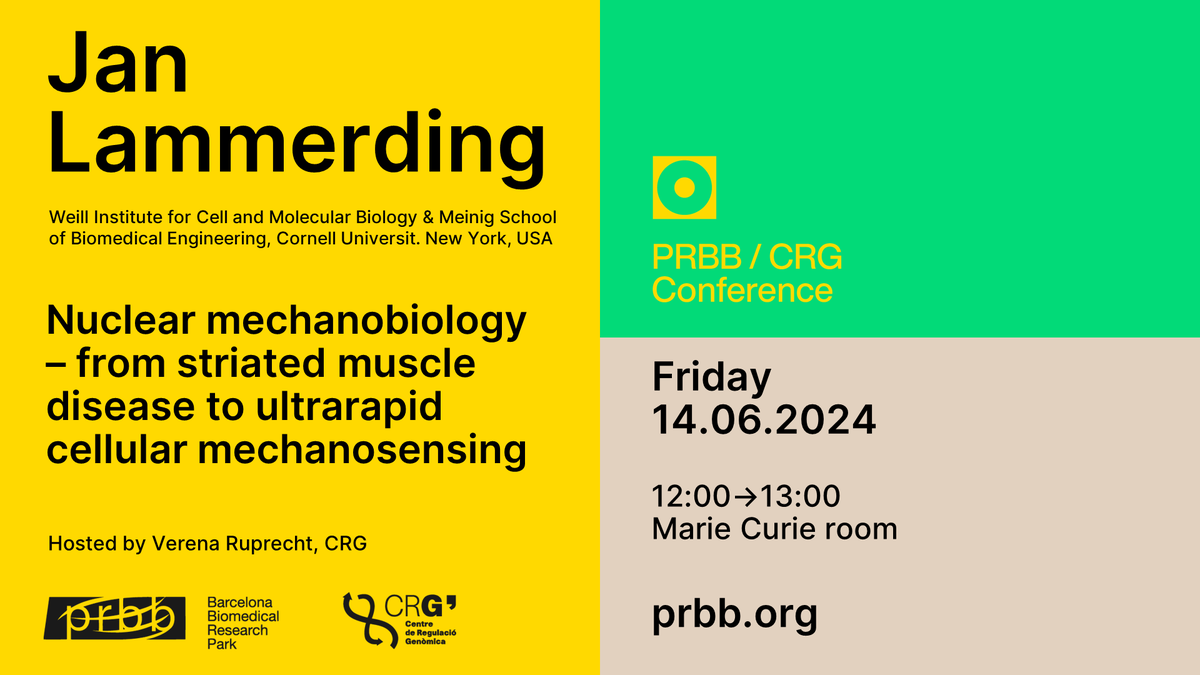 Centre for Genomic Regulation (CRG) (@crgenomica) on Twitter photo 📣 PRBB-CRG Conference
📋 "Nuclear mechanobiology -from striated muscle disease to ultrarapid cellular mechanosensing"
🗣️ Jan Lammerding <a href="/LammerdingLab/">Lammerding Lab</a>
🤝Hosted by Verena Ruprecht
📅 June 14- 12:00
📍 Marie Curie room - <a href="/the_prbb/">Biomedicina BCN</a> 📣 PRBB-CRG Conference
📋 "Nuclear mechanobiology -from striated muscle disease to ultrarapid cellular mechanosensing"
🗣️ Jan Lammerding <a href="/LammerdingLab/">Lammerding Lab</a>
🤝Hosted by Verena Ruprecht
📅 June 14- 12:00
📍 Marie Curie room - <a href="/the_prbb/">Biomedicina BCN</a>