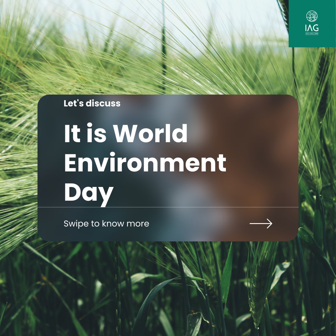 ItanyaAfricaGrp's tweet photo. 🌍✨ Happy World Environment Day! Today, we celebrate the beauty of our planet and recognize the urgent need to protect it. Swipe through our picture carousel to see how we integrate environmental sustainability into our daily operations. 💚 #WorldEnvironmentDay #Sustainability https://t.co/PHX1fPmSBl