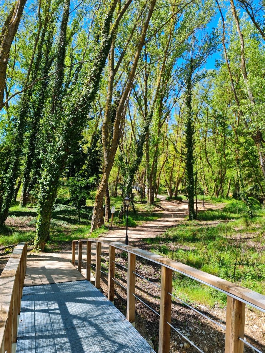 ¿Sabías que la Senda del Duero pasa por San Esteban de Gormaz?
Este Camino Natural que nace en Duruelo de la Sierra y termina en la frontera portuguesa acompaña al Duero durante más de 700 km.

#sendadelduero #duero #sanestebandegormaz
#riberaromanicoyVIDa #soria #turismo