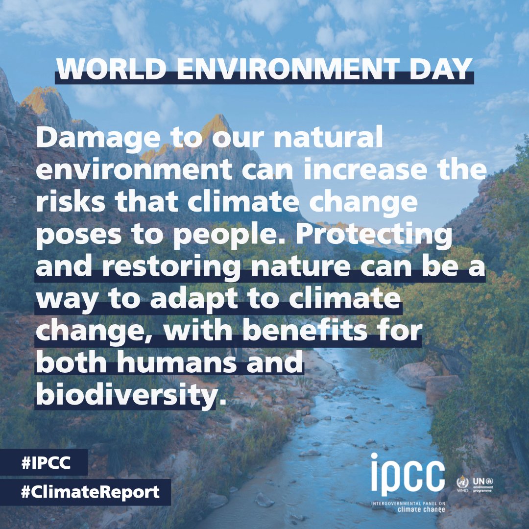 Today is #WorldEnvironmentDay‌!
 
By protecting &amp; restoring #Nature we help plants &amp; animals to build climate resilience.

#Nature can then help us

🌈regulate the climate
 💧give us clean safe water
 🦟control pests &amp; diseases &amp;
 🐝pollinate our crops
 
 bit.ly/WGIIRept