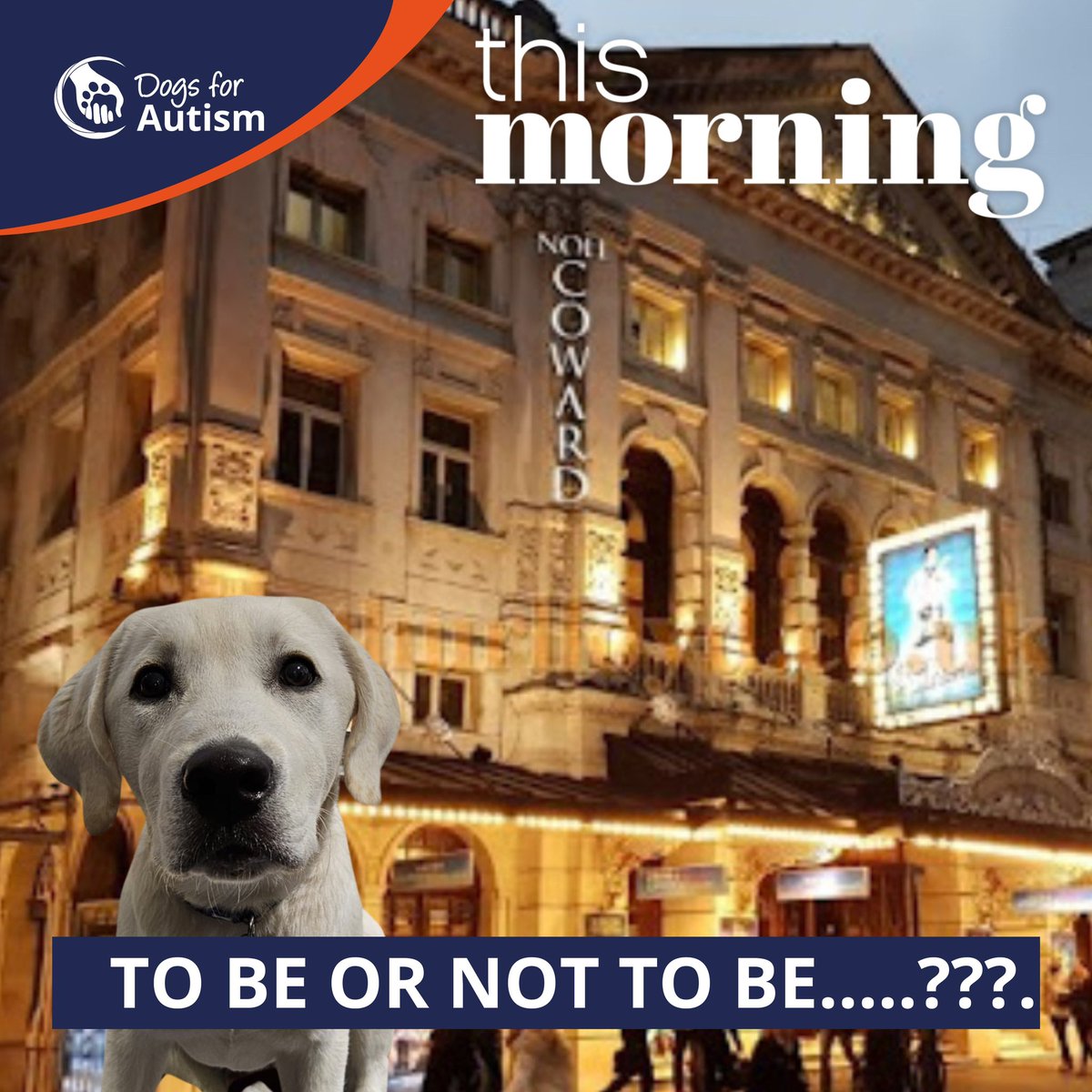 Dogs for Autism tweet media