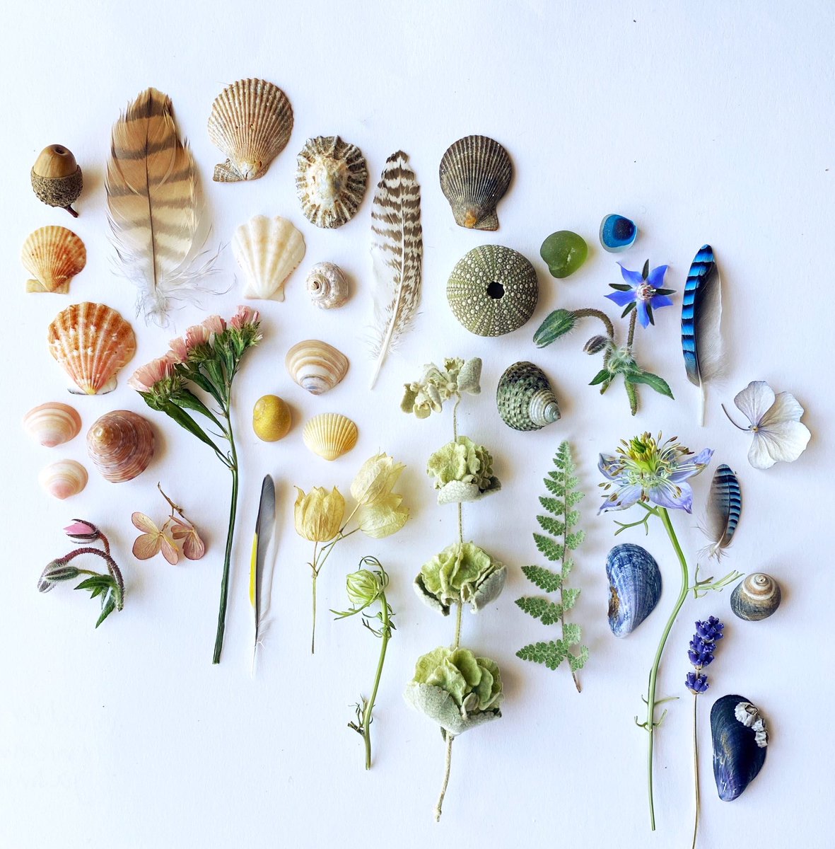 Emma Mitchell 💙 tweet media