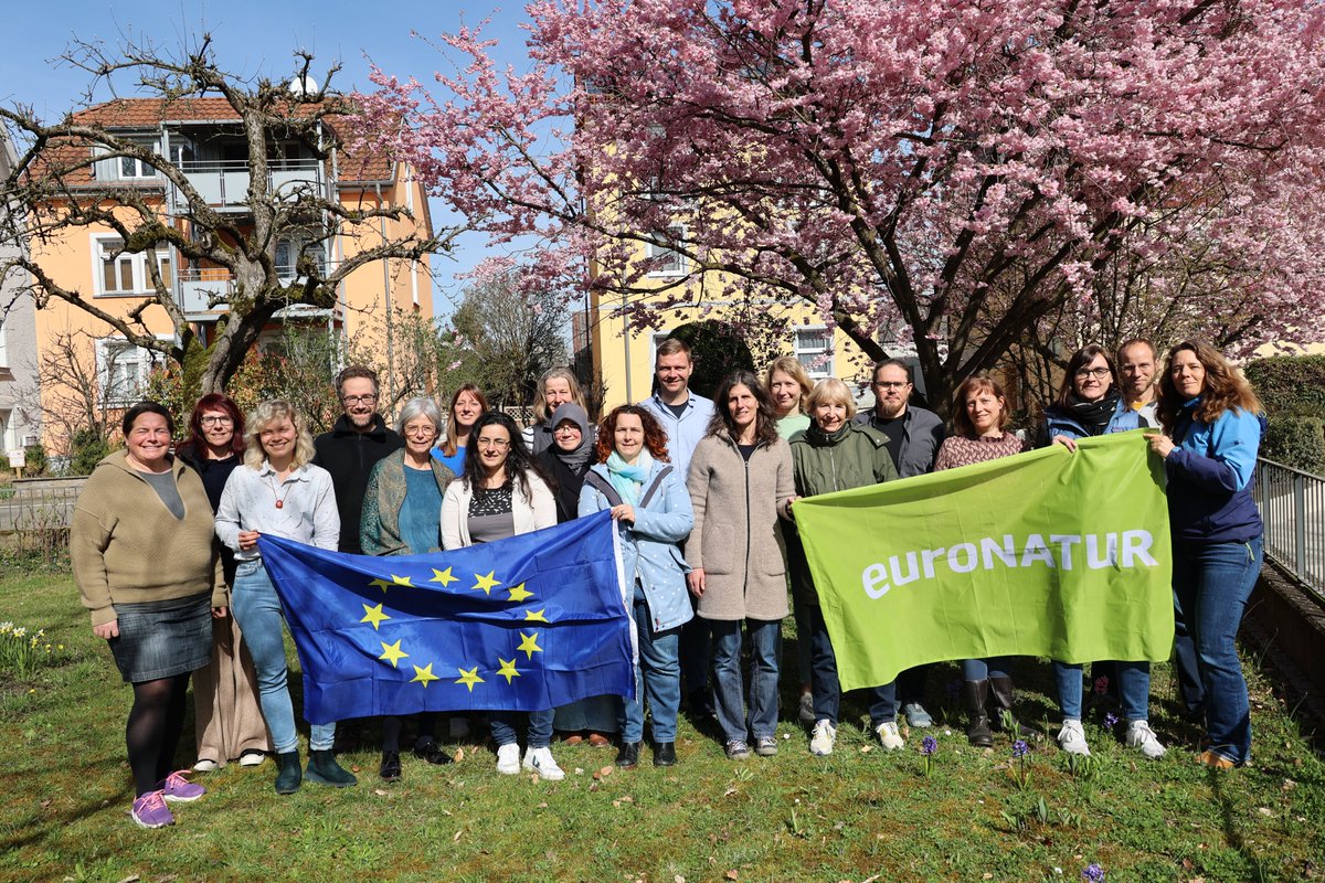 📣 6 - 9 June #useyourvote 
 
The countdown is on! ⏰
 
There are only a few hours left before voting starts for the European Parliament elections in Europe.

Use your vote. 
For #nature. For people. For a just #Europe. 🌍🧑🏻‍🤝‍🧑🏽