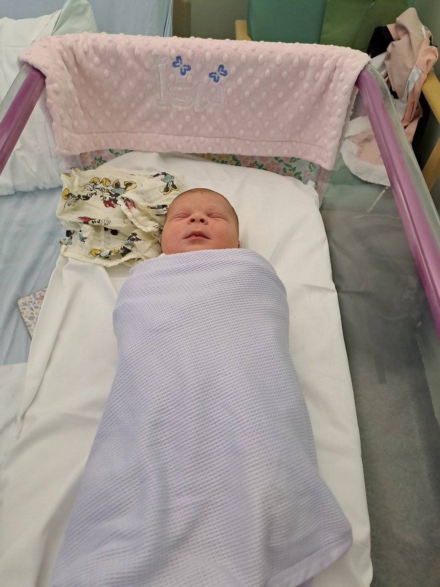 Introducing the newest member of the #swa Isla Maria Gaia Ricci