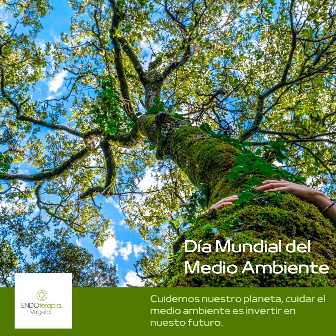 Hoy día 5 de Junio, es el día mundial del medio ambiente💚
