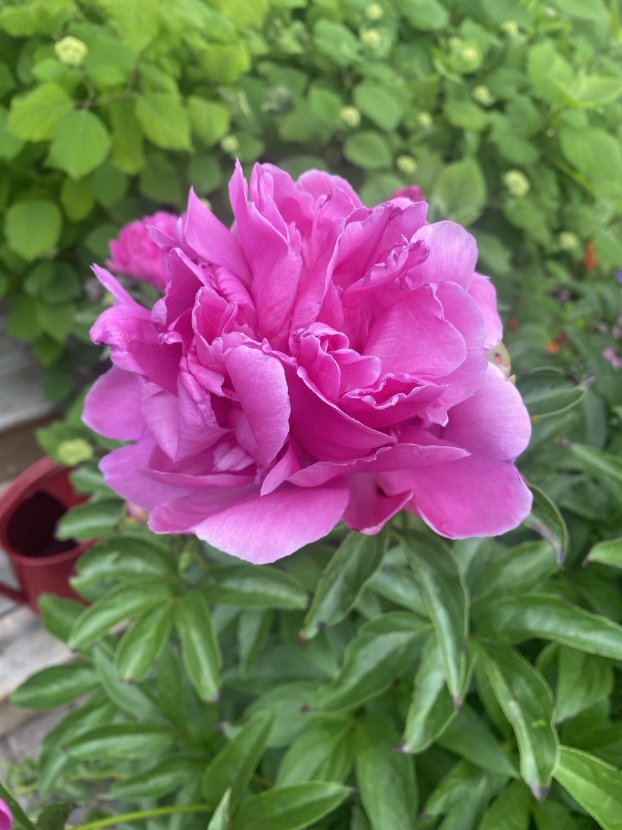 Chris Hadfield tweet media