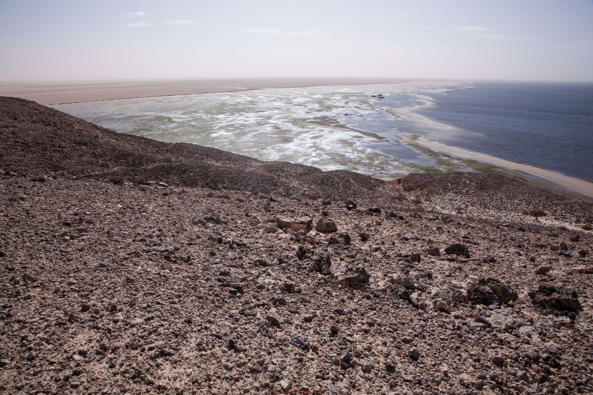 France en Mauritanie tweet media