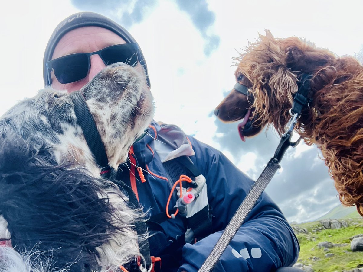 Tim_C_Ingram's tweet photo. Out walking in the #LakeDistrict fells with Willow & Mabel #EnglishSetter #IrishSetter #DevokeWater #Eskdale https://t.co/1nagnWoPmJ