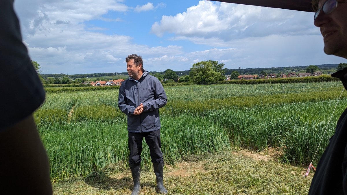 Delivering Sustainable Wheat (@dsw_isp) on Twitter photo Great to see so many DSW researchers taking part in <a href="/JohnInnesCentre/">John Innes Centre</a> Breeders Day today! Great to see so many DSW researchers taking part in <a href="/JohnInnesCentre/">John Innes Centre</a> Breeders Day today!