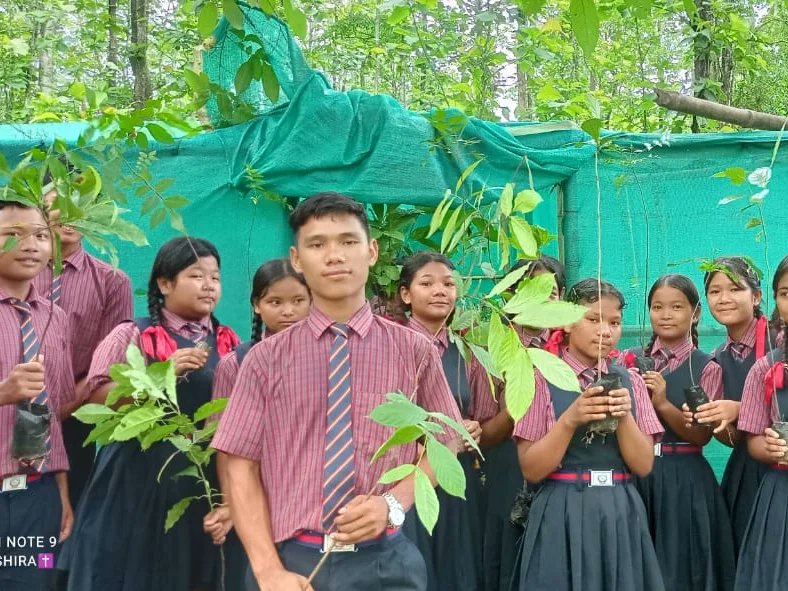SFDIndiaOrg's tweet photo. On the occasion of World Environment Day 5 June 2024 SFD Meghalaya celebrated  it by planting trees in  more than 10 campuses and Villages.  
Drawing competition was also organised in  Secondary school on the theme "Save Environment, Save Life"
#worldenvironmentday https://t.co/NqeYkfFOeQ