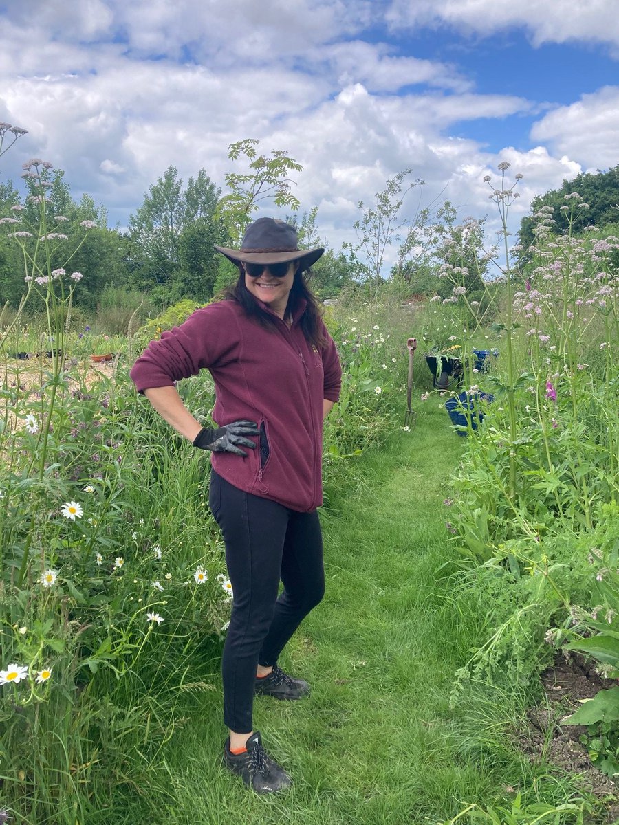 Lindengate tweet media