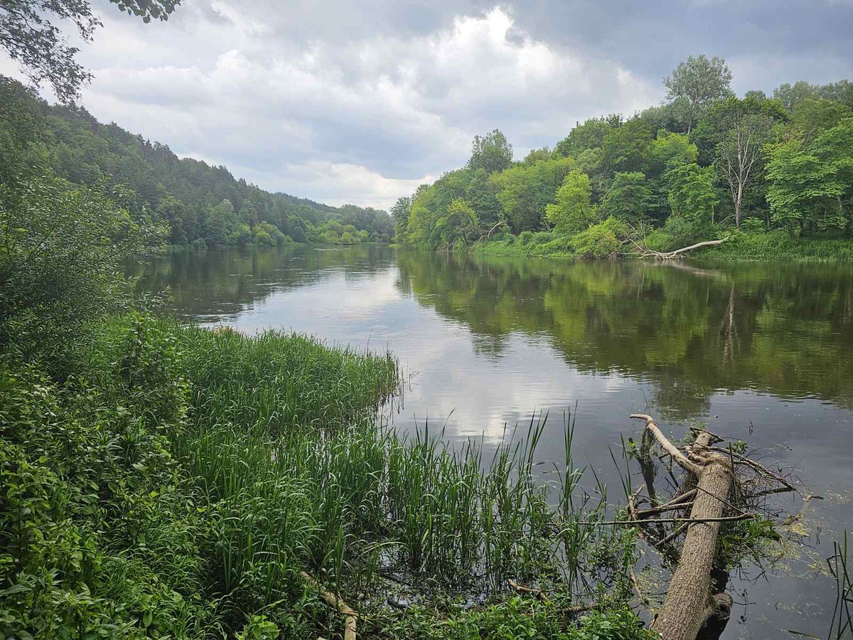I brought a good friend of mine to my usual nature walk today. We talked about higher consciousness, exchanged recent discoveries and meditation techniques that work for each of us, listened to each other and shared observations on repeating personal themes that are in the