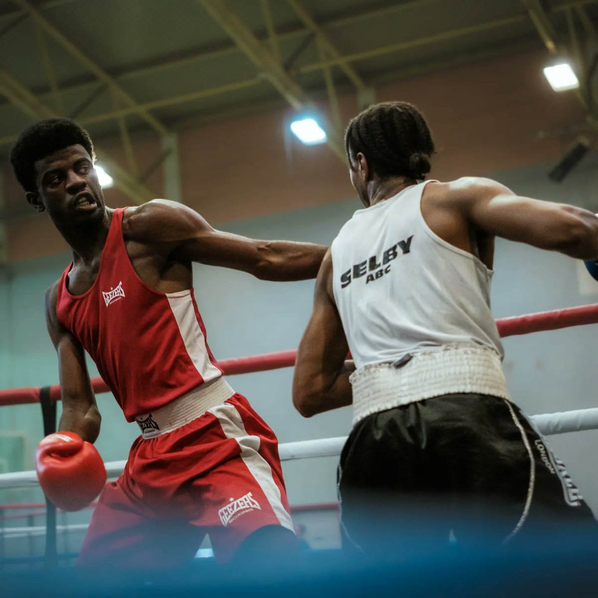 Pingoftheweek's tweet photo. πΈ Warren "The Warman" Gray in The Semi Finals of The Capital Box Cup π€π₯
#photographers #boxing #Pingoftheweek https://t.co/hsOucpQNxB
