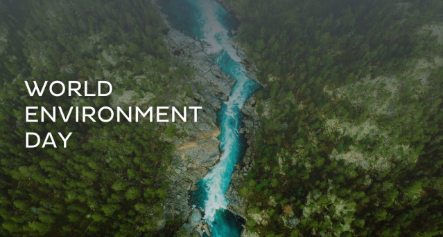 DYK: lakes, rivers and wetlands make up 5-8% of Earth’s surface but store 20-30% of carbon. As we celebrate #WorldEnvironmentDay, we’re reminded we can work together to protect these ecosystems &amp; create a more #sustainable future. #GenerationRestoration bit.ly/3VtjlfY