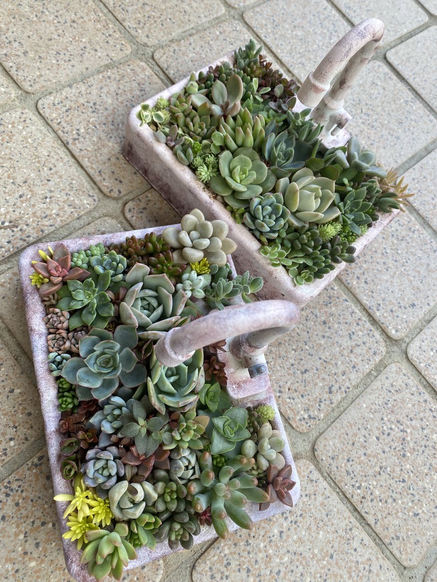 SKutakata's tweet photo. インスタでみて作りたくなっちゃったやつ https://t.co/jHKm7Qg4Mp