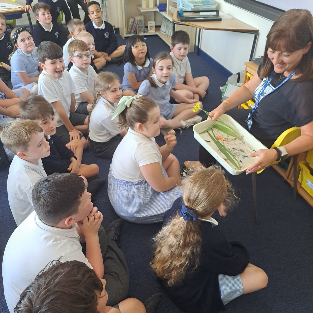 StAndrewsOLAAS's tweet image. Year 3 are investigating the different parts of a plant this afternoon ☘️🌷🔎🧐
#science #handsonlearning #miniscientists