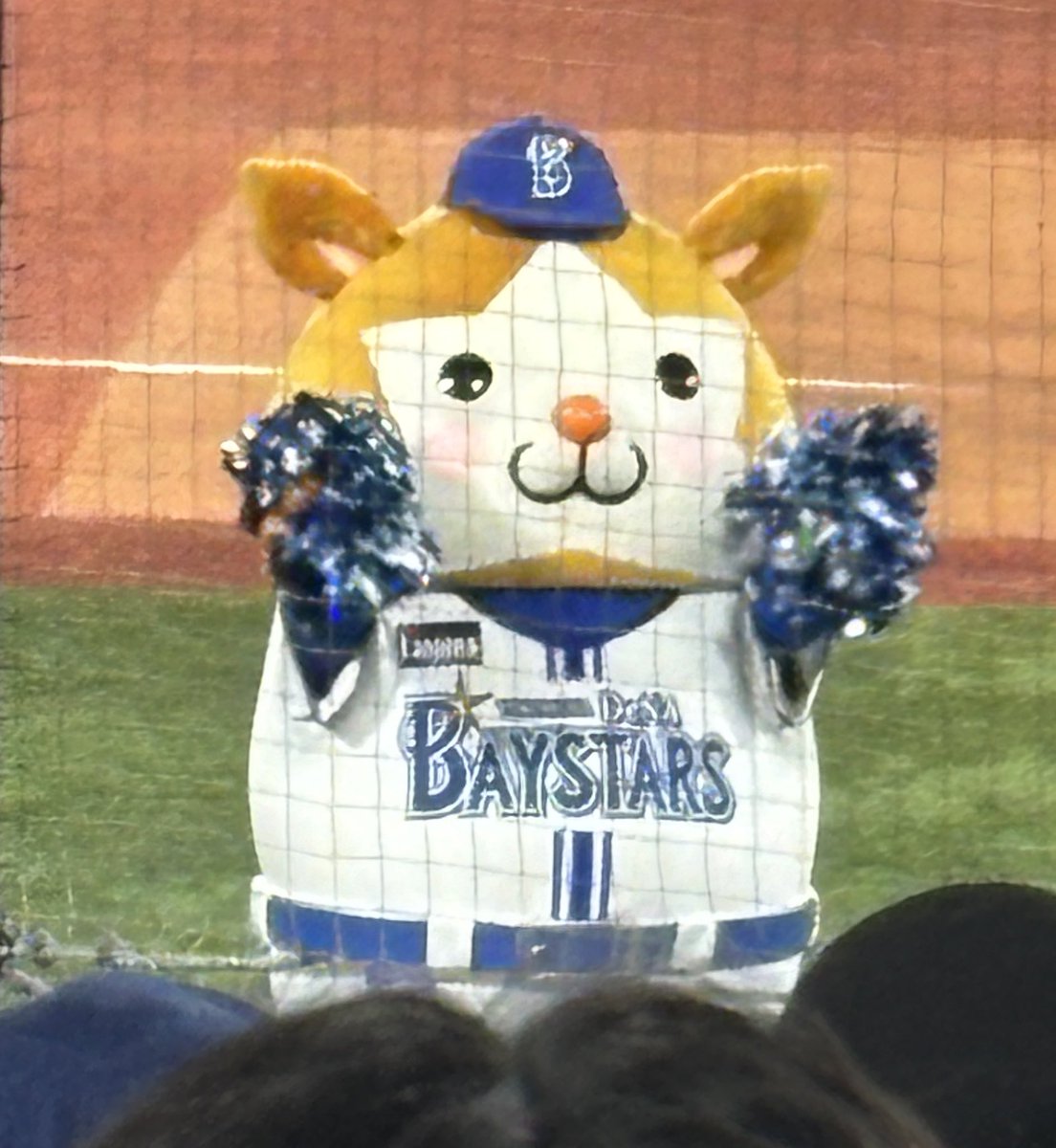 hane8ruri's tweet photo. おりほー🎉
途中からの観戦だったけど、今シーズン初の生ホームラン、初めての生バートとスターマン見れて満足❤️明日も勝つぞバファローズ🐮🍀 https://t.co/oqGNy4BixW