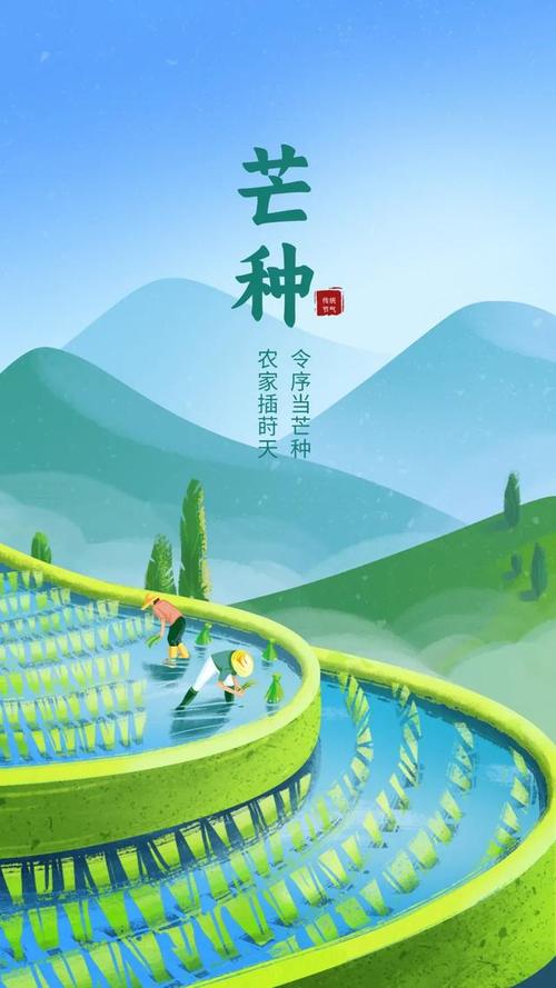 芒种芒种，有忙有种，既有收获的喜悦，也有未来的希望。#互关 #互关 #互fo #互关涨粉