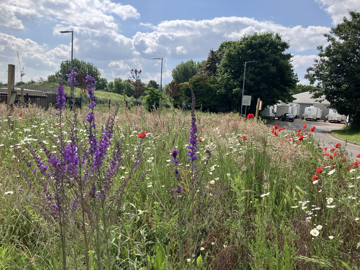 3millsstudios tweet media