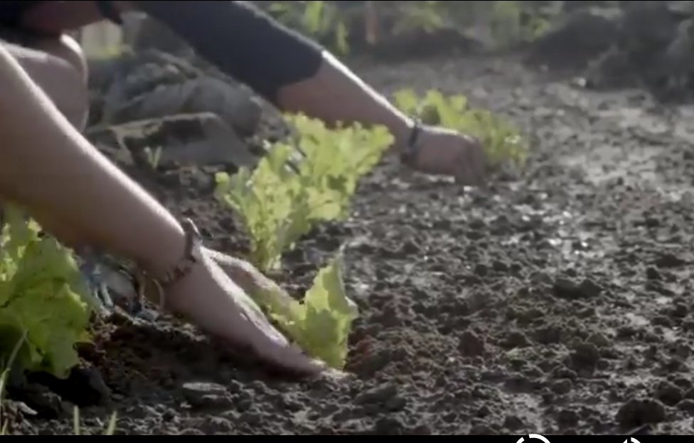 A todos los que día a día se esfuerzan por que exista una cultura ambiental, por hacer comprender a la humanidad que mañana puede ser demasiado tarde, que ahora es el momento de accionar para proteger la madre naturaleza, muchas felicidades en este importante día. #CubaEsCiencia