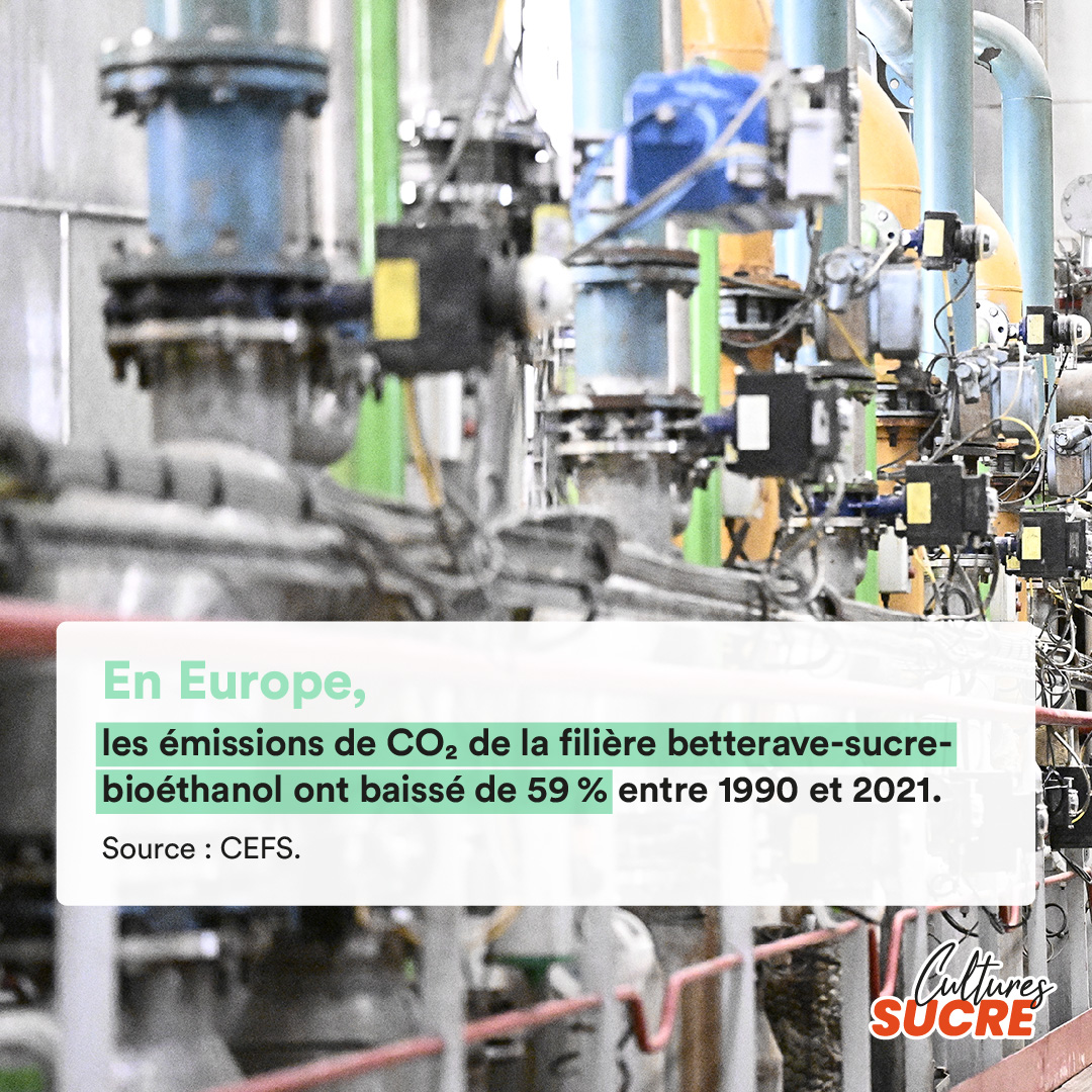 #JournéeMondialeEnvironnement 
Les filières betterave-sucre-bioéthanol 🇫🇷🇪🇺 sont engagées dans la transition environnementale.
La recherche se tourne en priorité vers l’amélioration de l’efficience énergétique et la réduction des émissions de CO2.
Retrouvez quelques chiffres clés