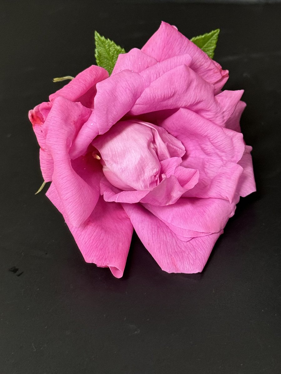 What a lovely gift to start my day!